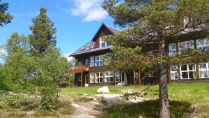 Appartment-Hotel in Hovden