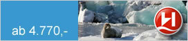 Hurtigruten   Spitzbergens Westküste - Im Reich der Eisbären 2020