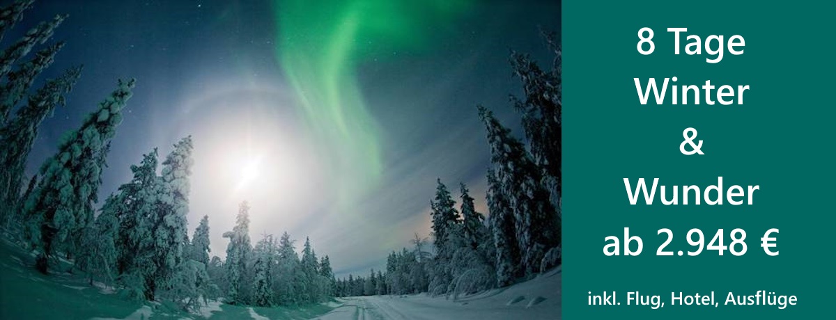 Polarlichter Winter Wunder