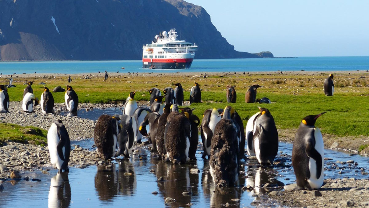 Expeditionen: Antarktis   Falkland Inseln   HX Expeditions