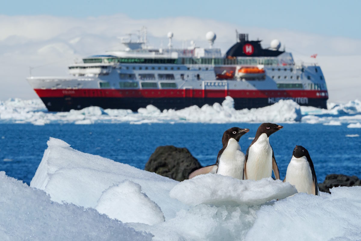 Expeditionen: HX  Fram Brown Bluff Antarctica Photo Yuri Matisse Choufour Hurtigruten Expeditions