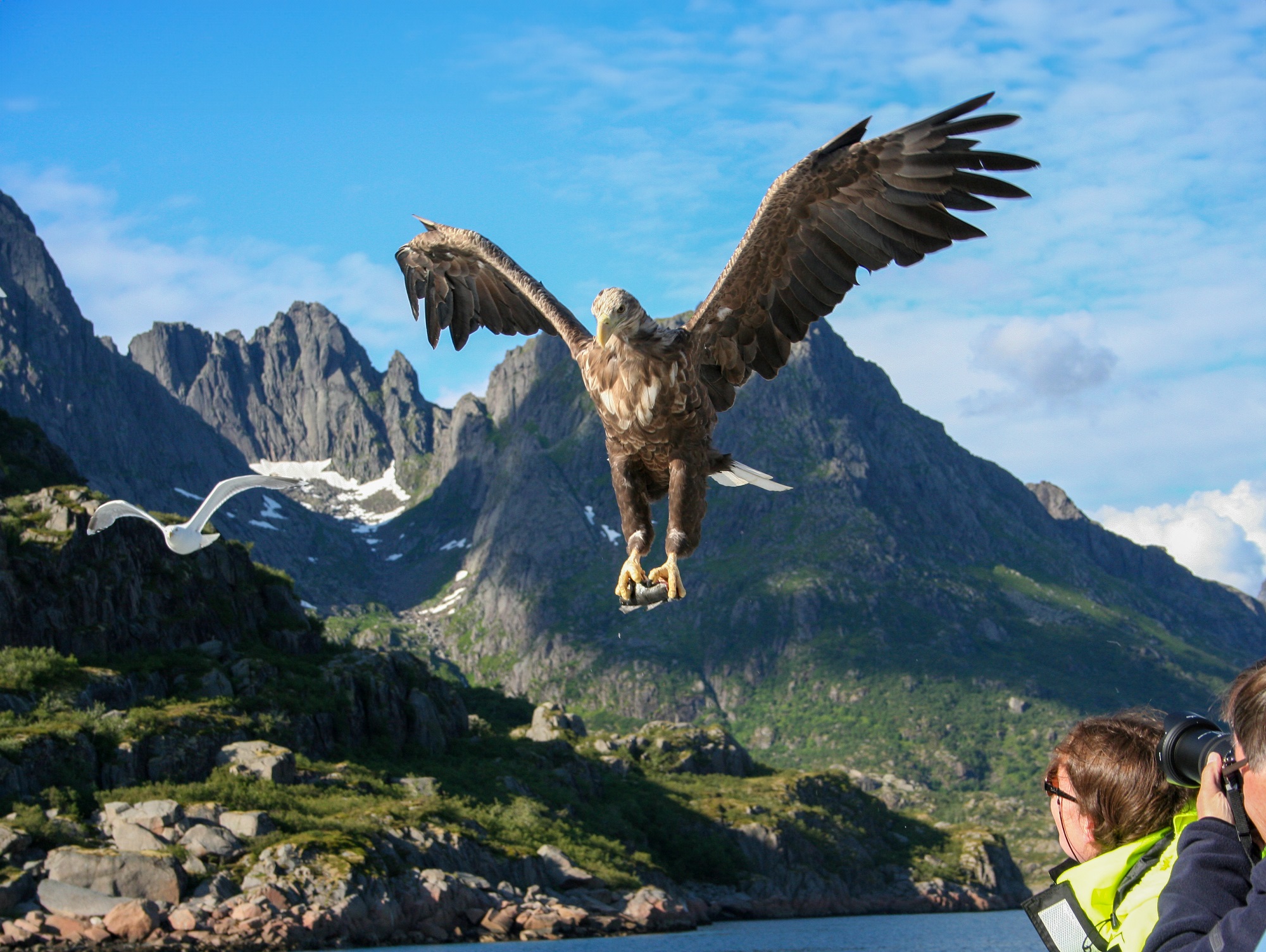 Expeditionen: Havorn Safari Norge HGR  Foto Photo Competition  Photo Photo Competition