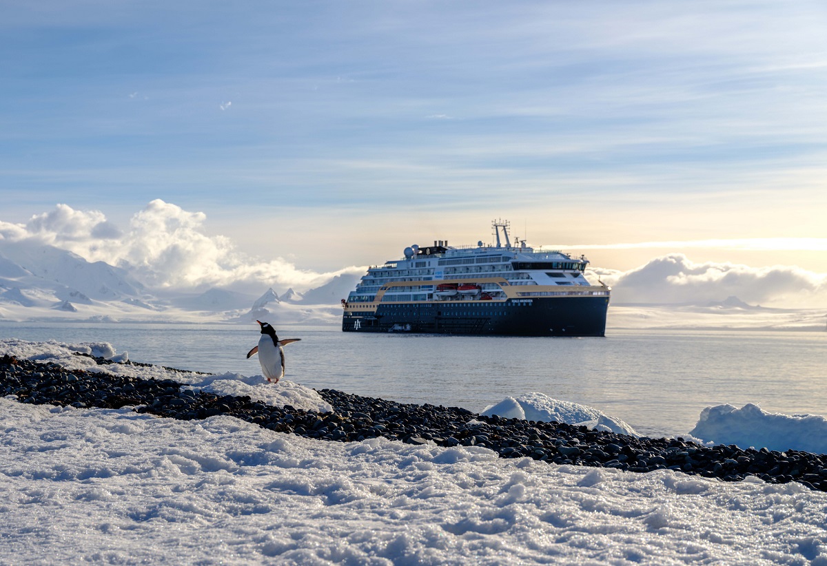 Expeditionen: Penguins and MS Roald Amundsen Antarctica danandzoraavila