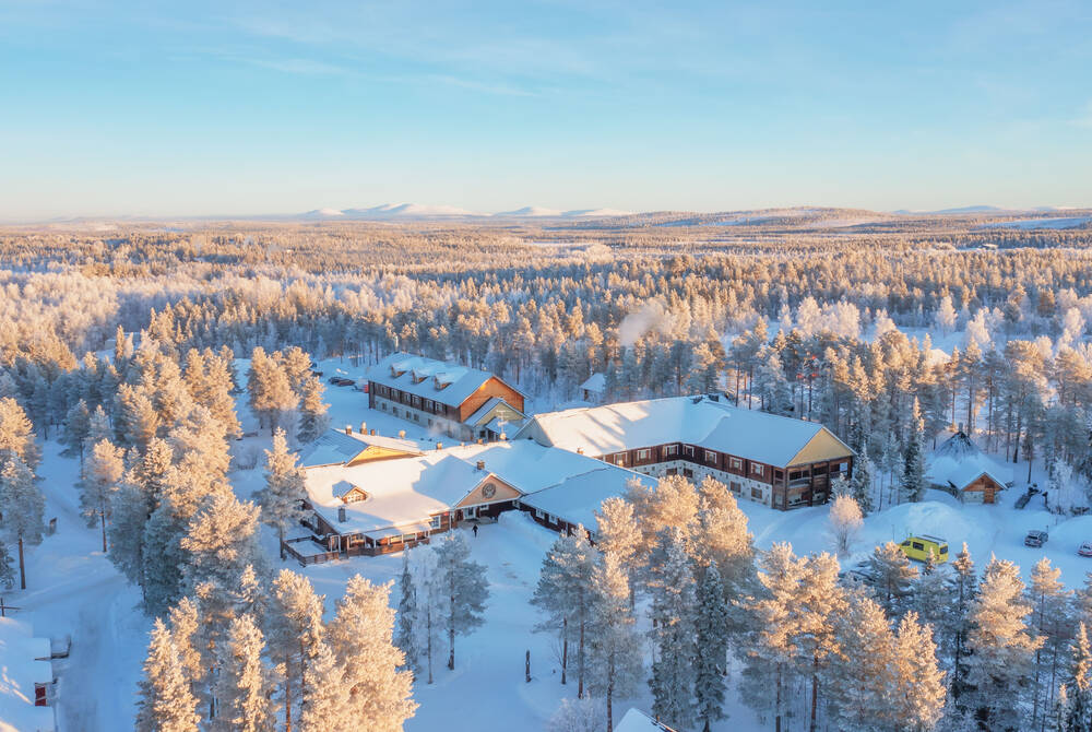Winter: Harriniva muonio