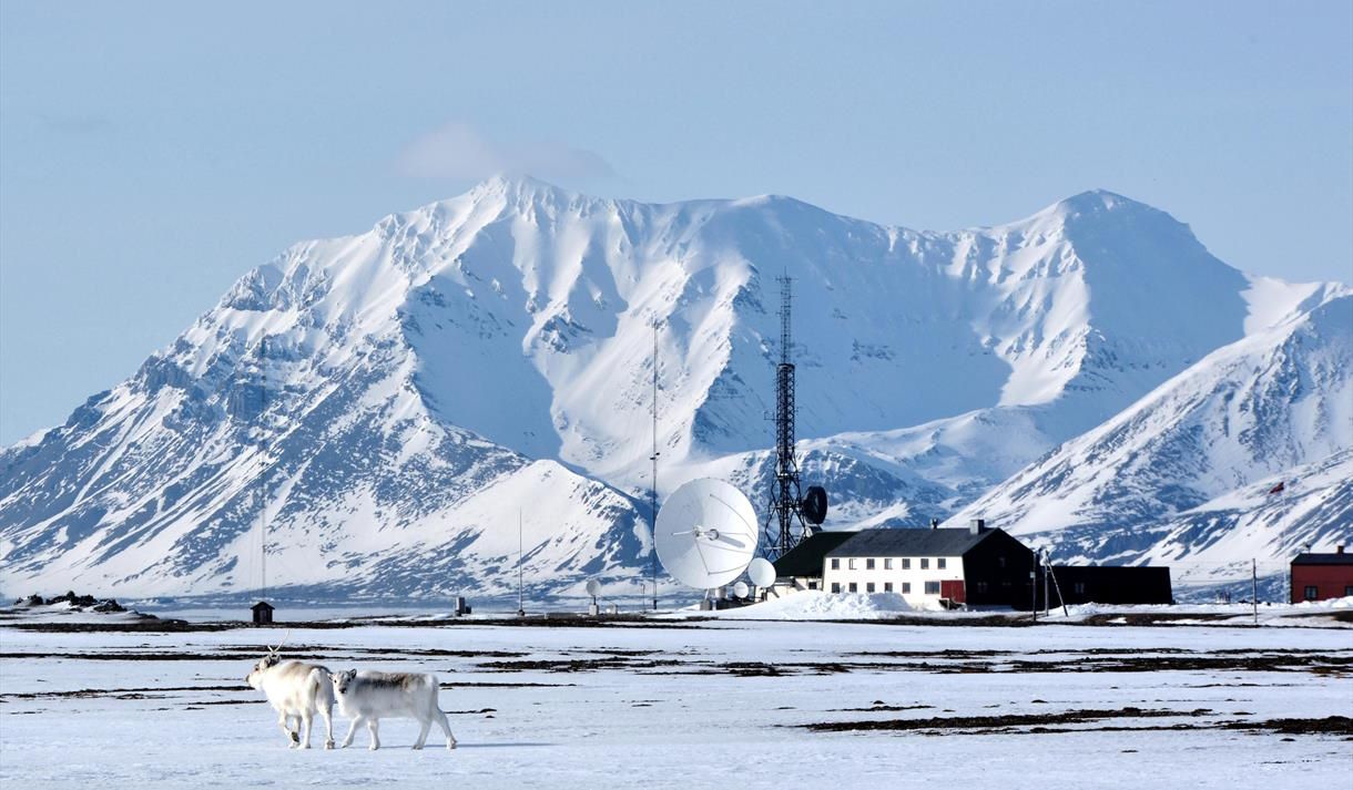 Expeditionen: Isfjord Radio Adventure Hotel
