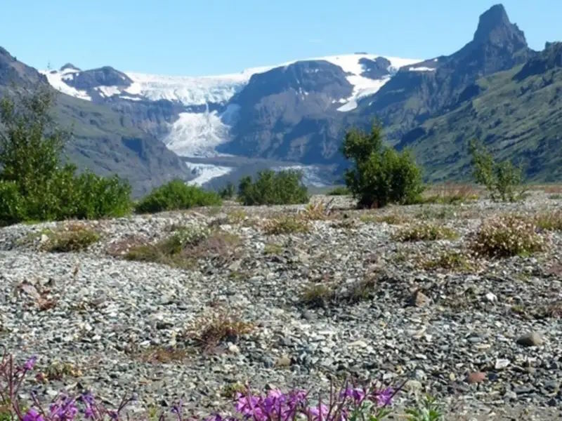 Rundreisen: Island Nationalpark Skaftafell