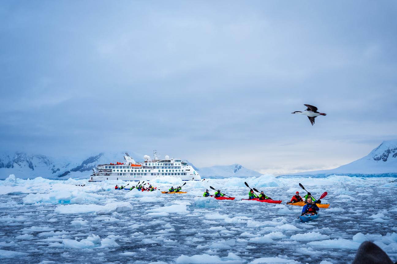 Expeditionen: Kajaktour mit Aurora Expedition im Hintergrund 