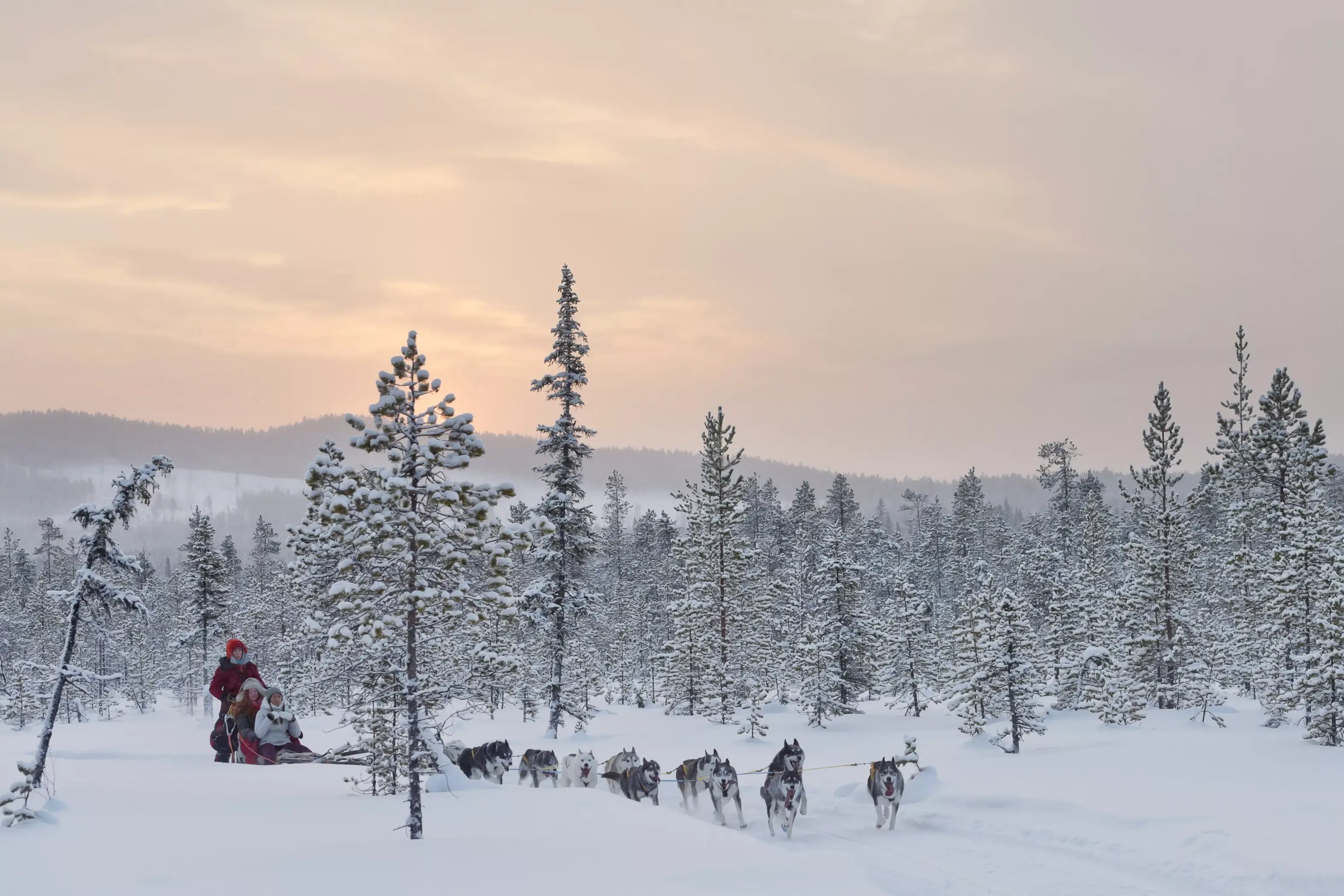 Schn&auml;ppchen: Langes Wochenende am Polarkreis huskytour durch verschneiten wald
