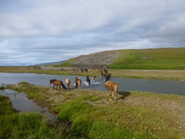 : island  sara
