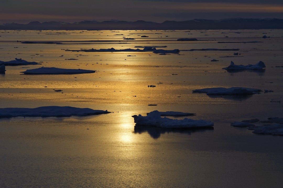 Expeditionen: eismeer thomas haltner hurtigruten com