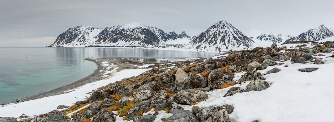 Expeditionen: ny alesund dr  verena meraldi hurtigruten