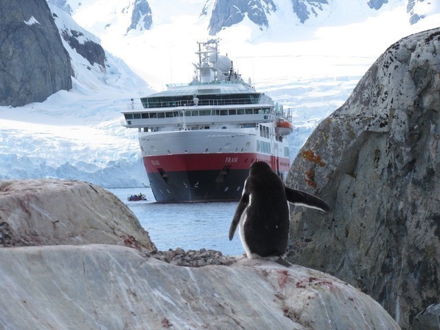 Expeditionen: antarktis heidi kumuduni dahl hurtigruten