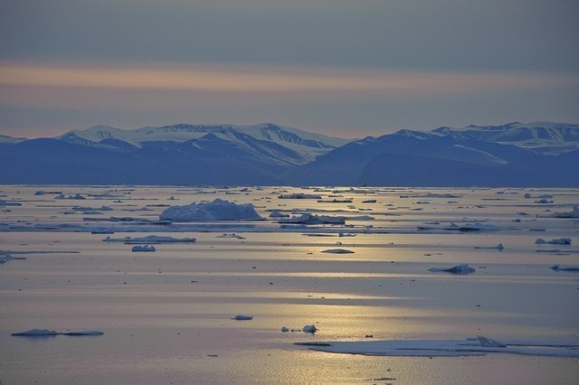 Expeditionen: eismeer thomas haltner hurtigruten