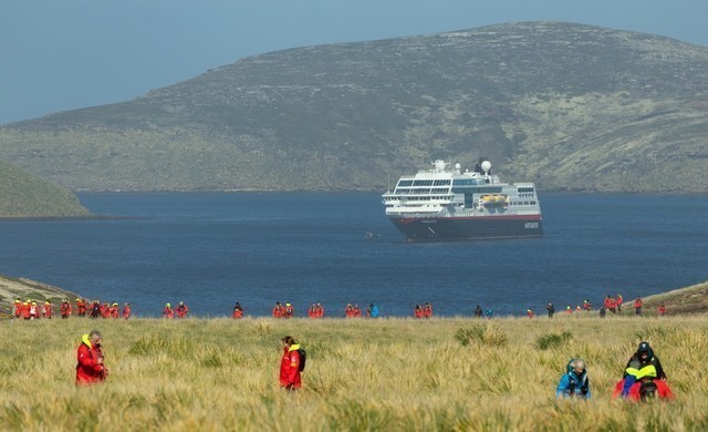 Expeditionen: falklandinseln karsten bidstrup hurtigruten