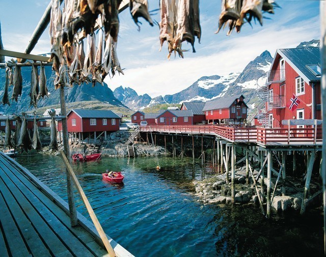 Hurtigruten: lofoten frithjof fure hurtigruten