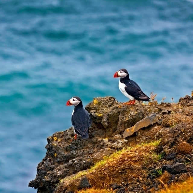 Hurtigruten: lundi ragnar th sigurdsson visiticeland com