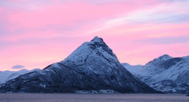 Hurtigruten: norwegen david maughan photo competition hurtigruten