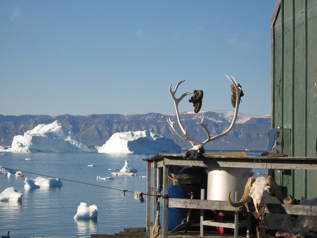 Expeditionen: saqqaq bo torbjorn rhodin hurtigruten