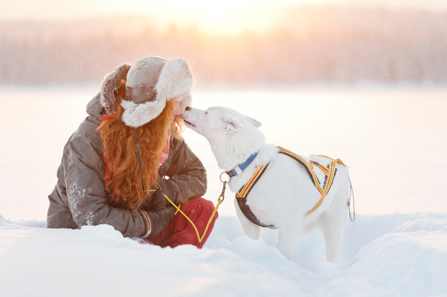 Winter: dog kiss anna oehlund imagebank sweden se