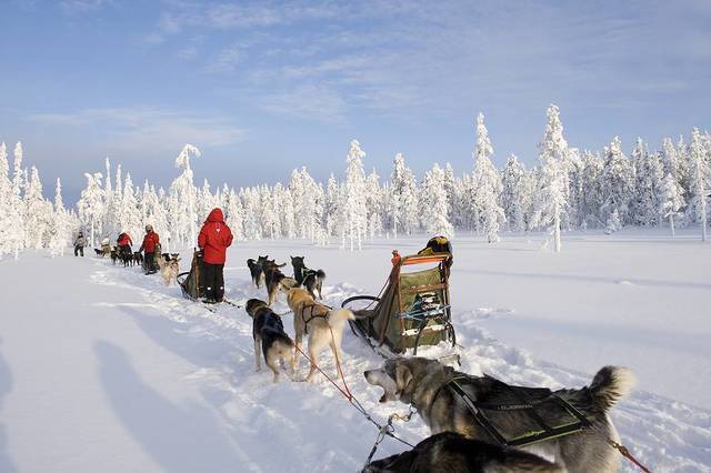 Winter: huskies rafael perez 