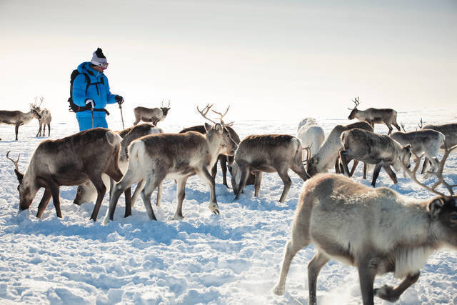 Nordlichter: kilpisjarvi elina sirparanta 