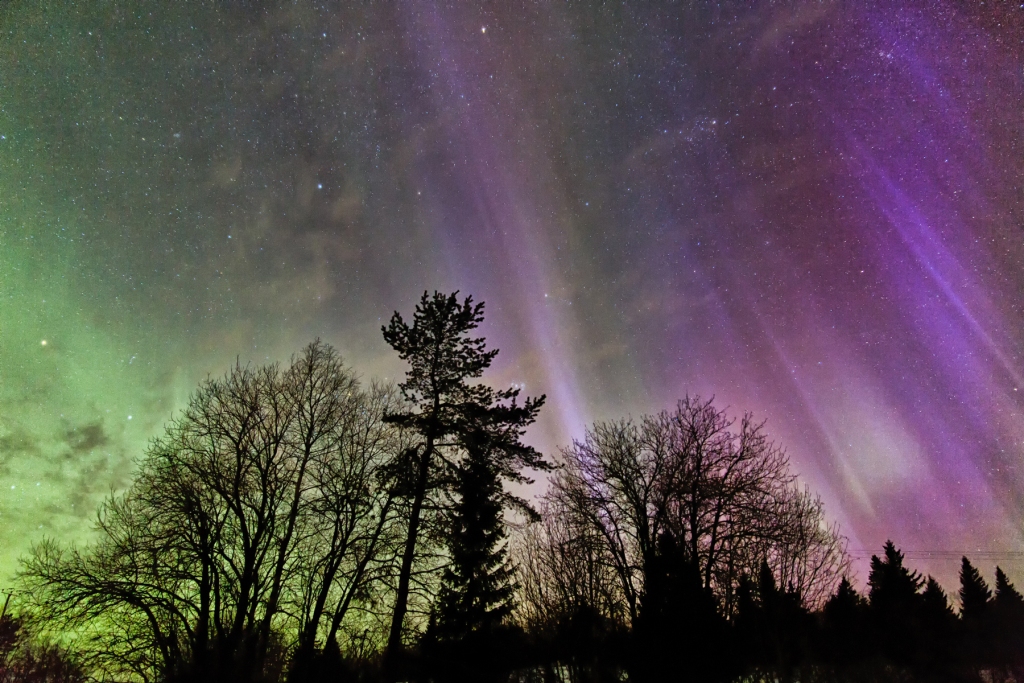 Winter: nordlichter vuokattisafaris