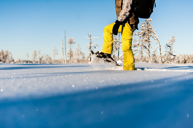 Winter: schneeschuh ted logart imagebank sweden se