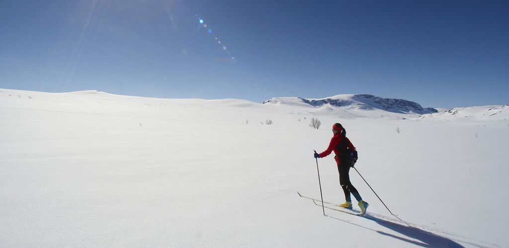 Winter: skiing in geilo visitnorway com