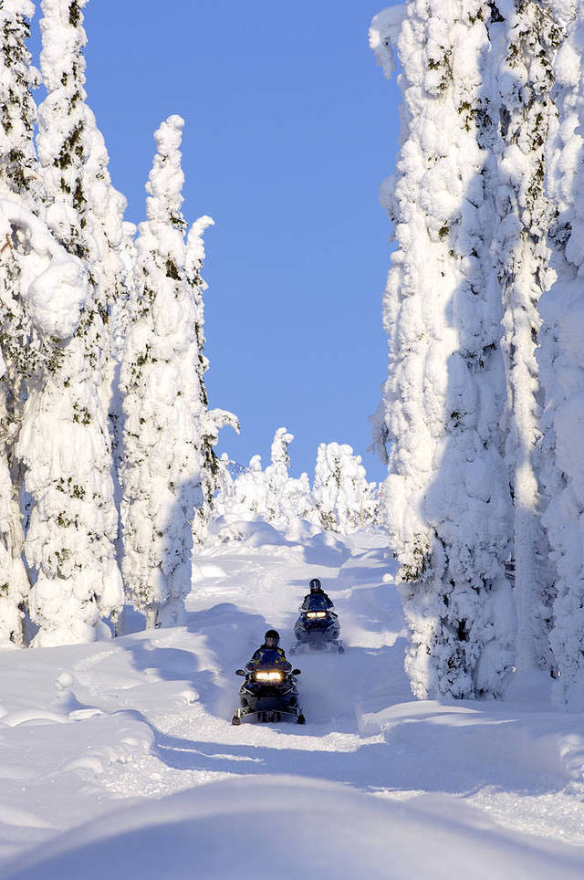 Nordlichter: snowscooter 