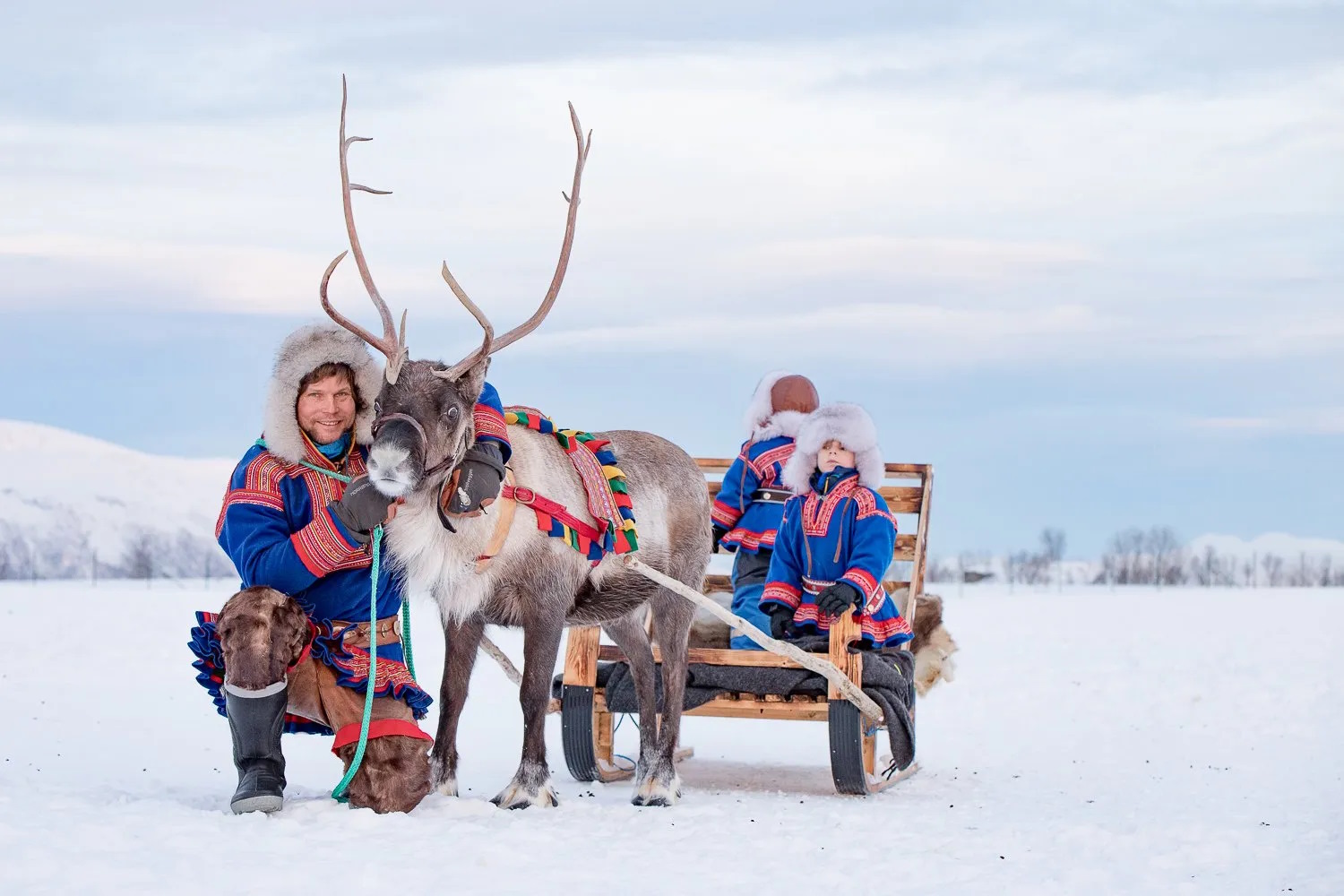 Winter: REeindeer