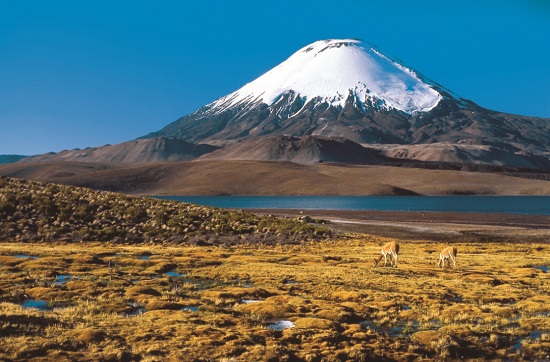 Expeditionen: arica chile marion rost heimly hurtigruten