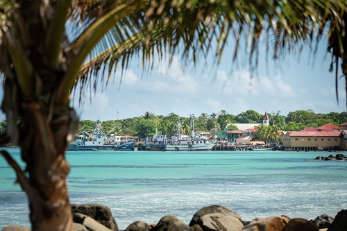 Expeditionen: bigcornisland dietmar denger hurtigruten