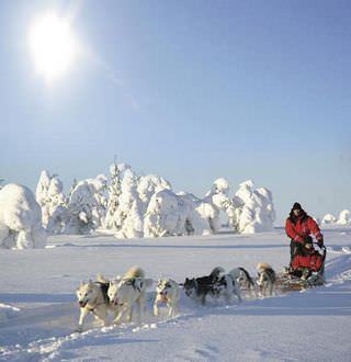 Fintouring husky : fintouring husky