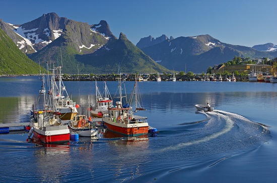 Rundreisen: hamn in senja baard loken  nordnorge