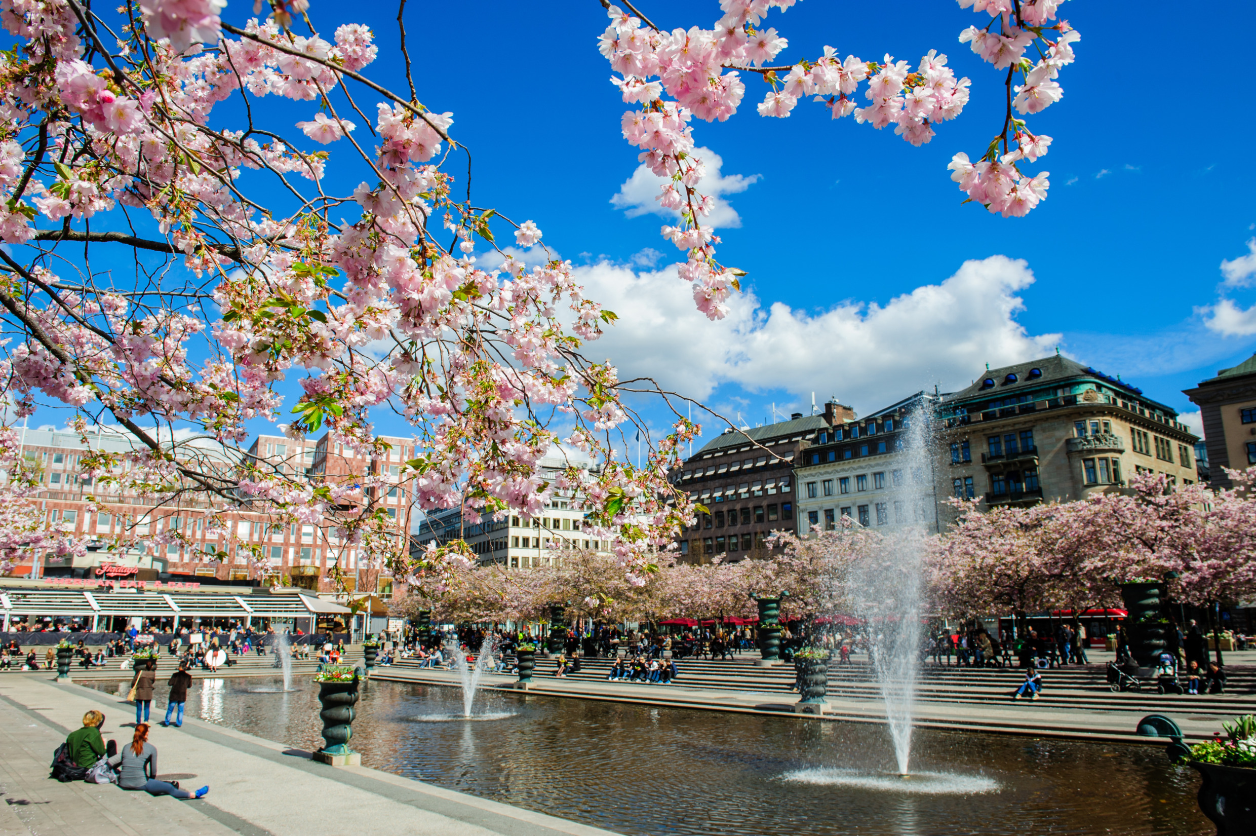 Städtereisen: lola akinmade CAkerstrCBm cherry bloom in stockholm 
