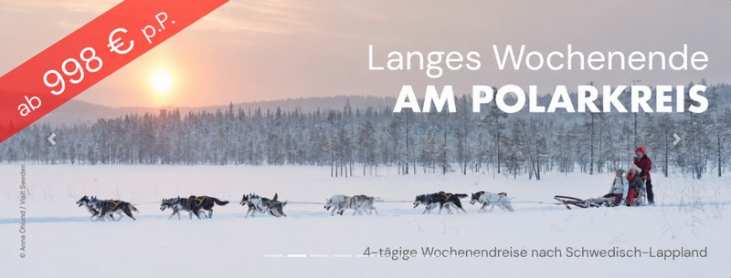 Huskygespann in verschneiter Landschaft am Polarkreis