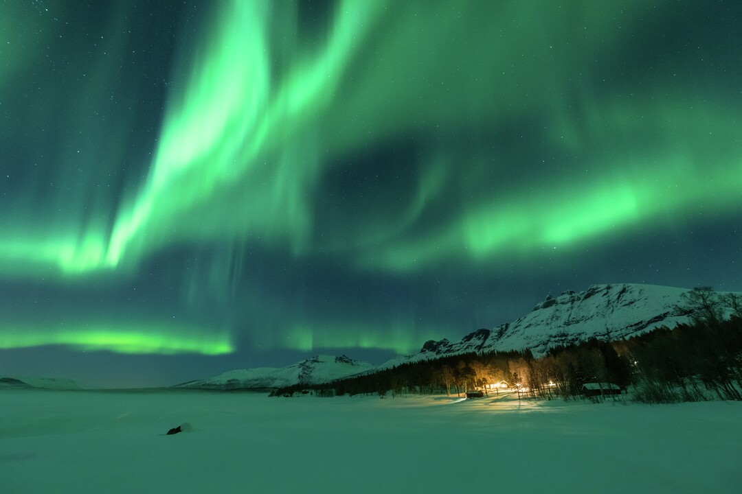 Weihnachten & Silvester: nordlichter stian  klo hurtigruten