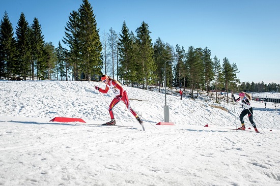 Städtereisen: ski thomas johannessen colorline